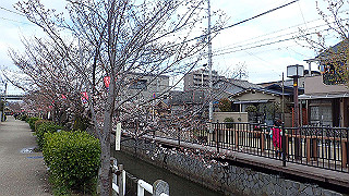 p3290331_thumb.jpg