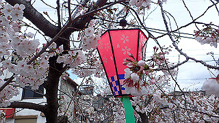 p3290332_thumb.jpg