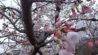 p3290333_thumb.jpg