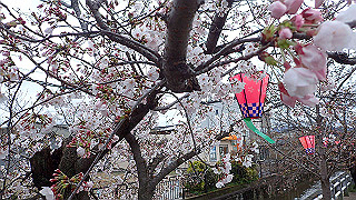p3290334_thumb.jpg