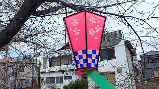 p3290335_thumb.jpg