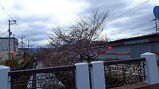 p3290337_thumb.jpg