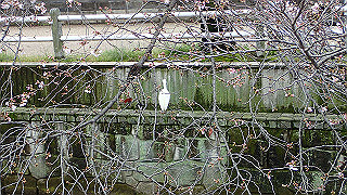 p3290338_thumb.jpg