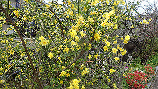 p3290340_thumb.jpg
