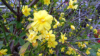 p3290341_thumb.jpg