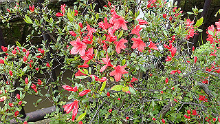 p3290342_thumb.jpg