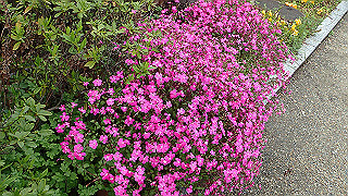 p3290345_thumb.jpg