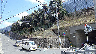 p3290405_thumb.jpg