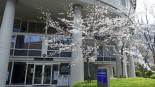 p3290423_thumb.jpg