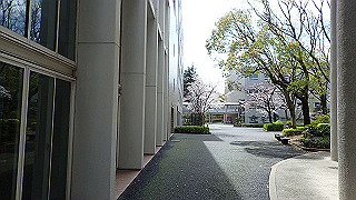 p3290428_thumb.jpg