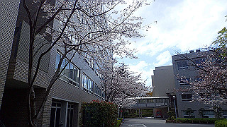 p3290430_thumb.jpg