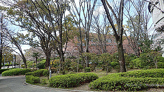 p3290431_thumb.jpg