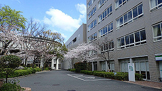 p3290434_thumb.jpg