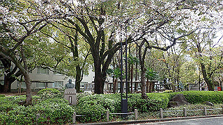 p3290437_thumb.jpg