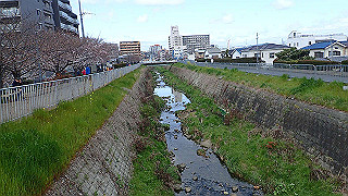 p3290446_thumb.jpg