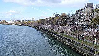 p3290481_thumb.jpg