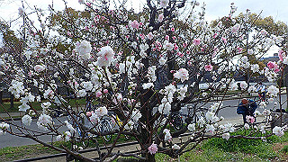 p3290486_thumb.jpg