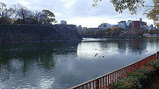 p3290491_thumb.jpg