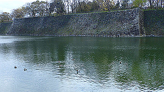 p3290492_thumb.jpg