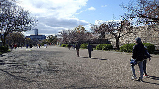 p3290497_thumb.jpg