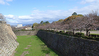 p3290499_thumb.jpg
