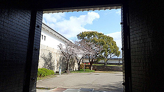 p3290505_thumb.jpg
