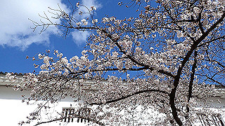 p3290506_thumb.jpg