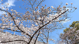 p3290507_thumb.jpg