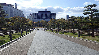 p3290509_thumb.jpg