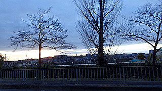 p3290549_thumb.jpg