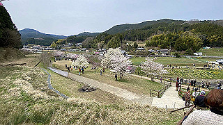 20200403_035659610_ios_thumb.jpg