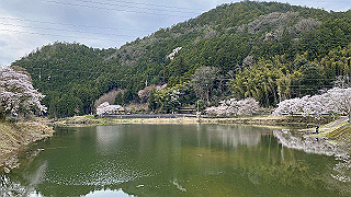 20200403_055108638_ios_thumb.jpg