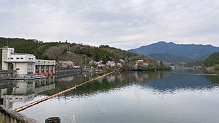 20200403_060539336_ios_thumb.jpg