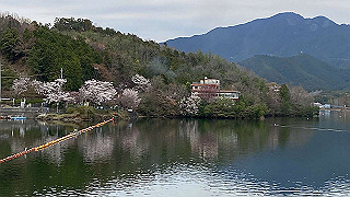 20200403_060550346_ios_thumb.jpg