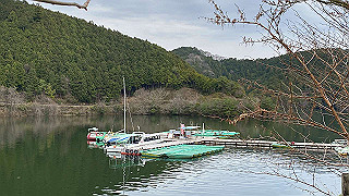 20200403_060602389_ios_thumb.jpg