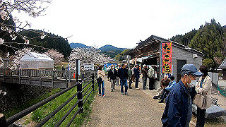 gh010324.mp4_snap_thumb.jpg