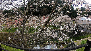 gh010325.mp4_snap_thumb.jpg