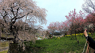 gx010320.mp4_snap_thumb.jpg