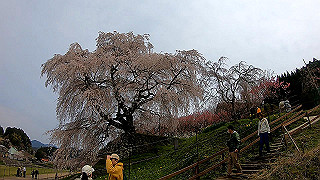 gx010321.mp4_snap_thumb.jpg
