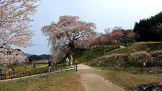 gx010322.mp4_snap_thumb.jpg