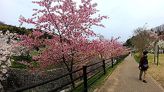 gx010323.mp4_snap_thumb.jpg