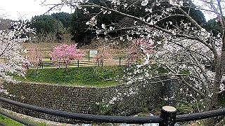 gx010326.mp4_snap_thumb.jpg