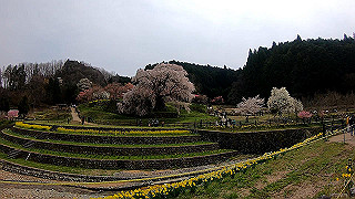 gx010327.mp4_snap_thumb.jpg