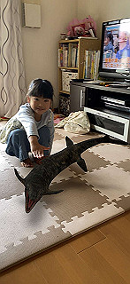 20200414_005335000_ios_thumb.jpg