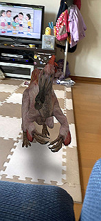 20200414_010957000_ios_thumb.jpg