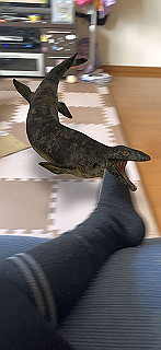 20200414_015723000_ios_thumb.jpg