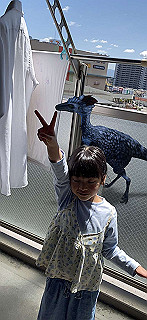 20200414_033234000_ios_thumb.jpg