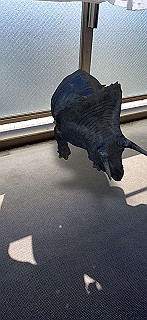 20200414_034046000_ios_thumb.jpg
