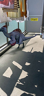 20200414_034405000_ios_thumb.jpg