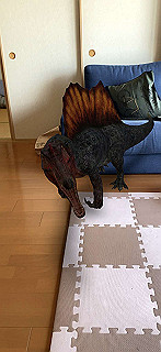 20200414_034547000_ios_thumb.jpg